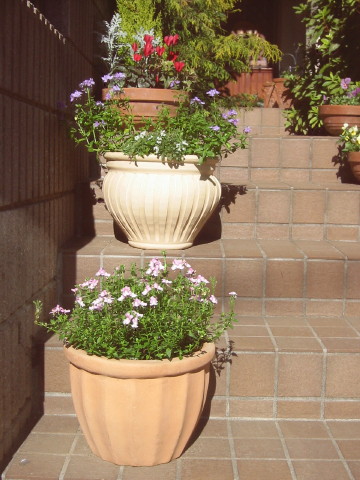 040111-4.jpg